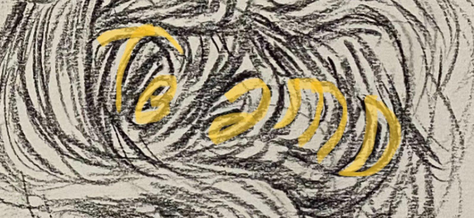 Ale Del Rio Portrait 26 - Retrato Ale Del Rio 26 - Rafael Corro